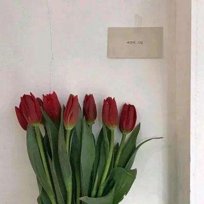 昆仑墟之归离剑下载